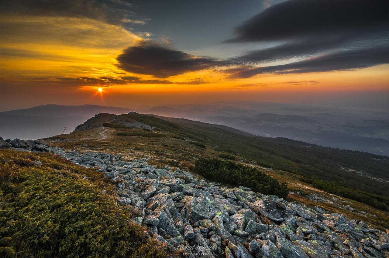 זאבוייה Beskid מראה חיצוני תמונה